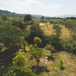 Pasithea Oda ve Kahvaltı