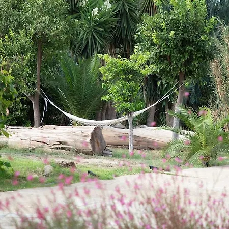 Bed & Breakfast Pasithea 3*