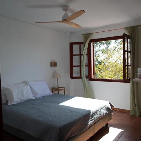 Oda ve Kahvaltı Pasithea