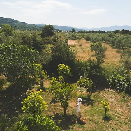 Pasithea Bed & Breakfast