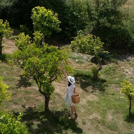 Pasithea Bed & Breakfast Neochori (Zacharo)