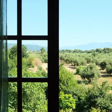 Bed & Breakfast Pasithea 3*