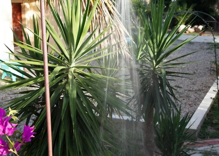 Pasithea Bed & Breakfast