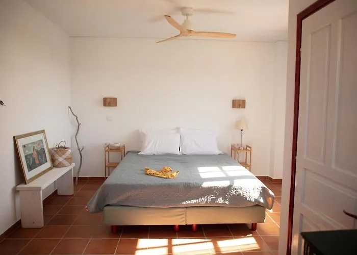 Pasithea B&B Neochori (Zacharo)