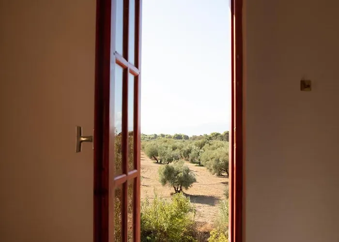 Bed & Breakfast Pasithea Neochori (Zacharo)